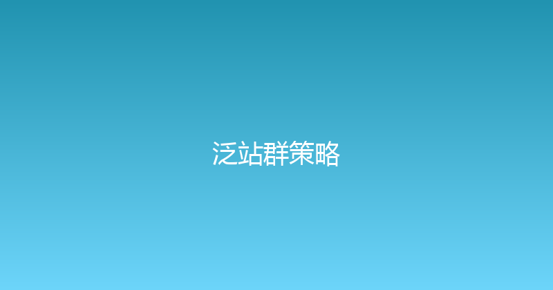 泛站群策略 封面图